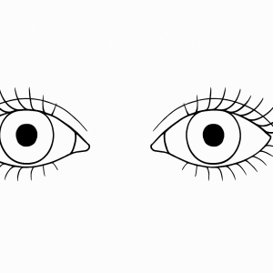 Human Eyes Tactile Graphic