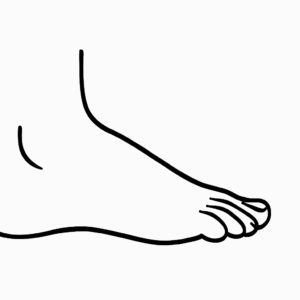 Human Foot Side View Tactile Graphic