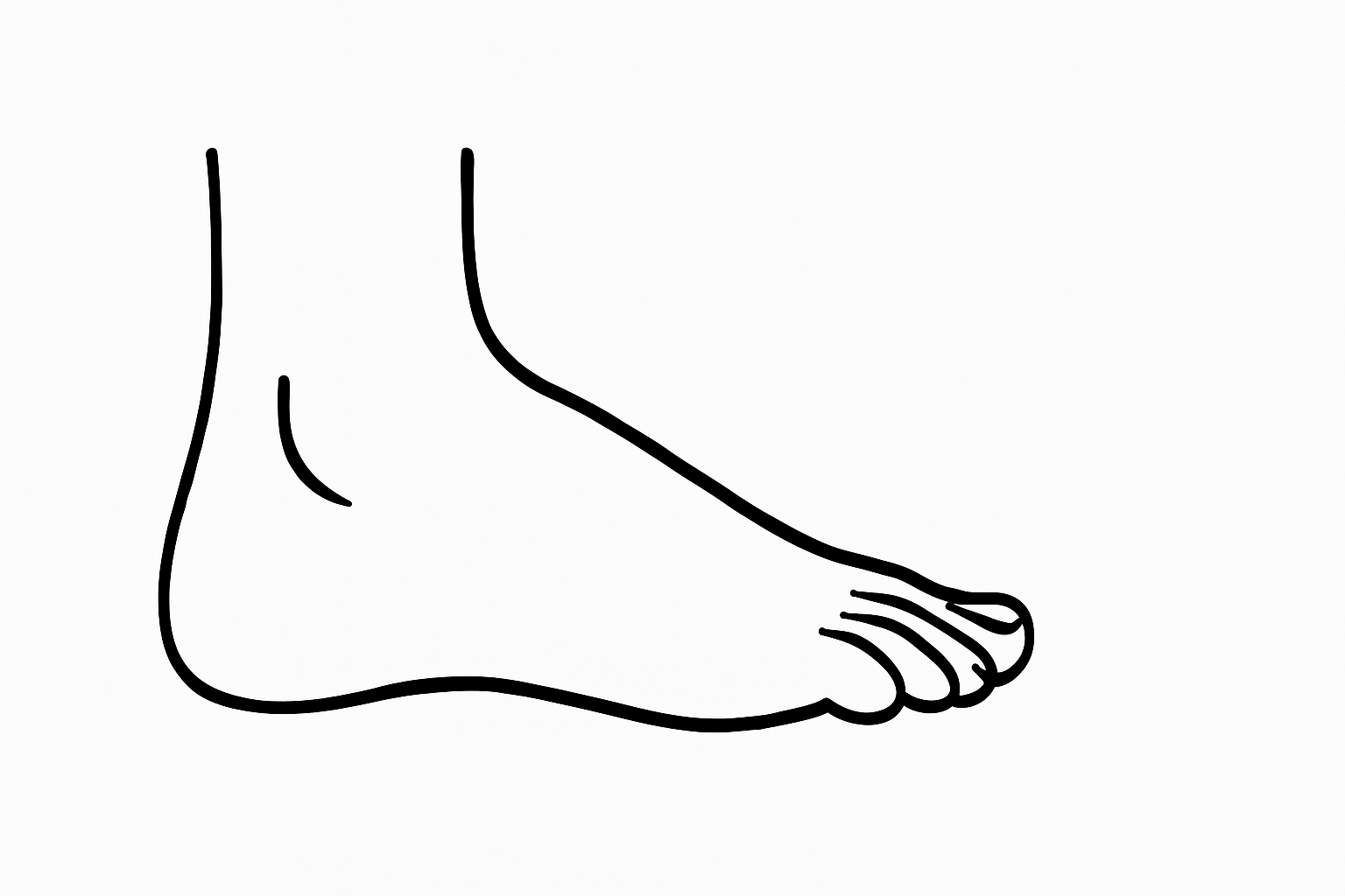 Human Foot Side View Tactile Graphic