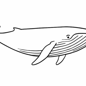 Blue Whale Tactile Graphic