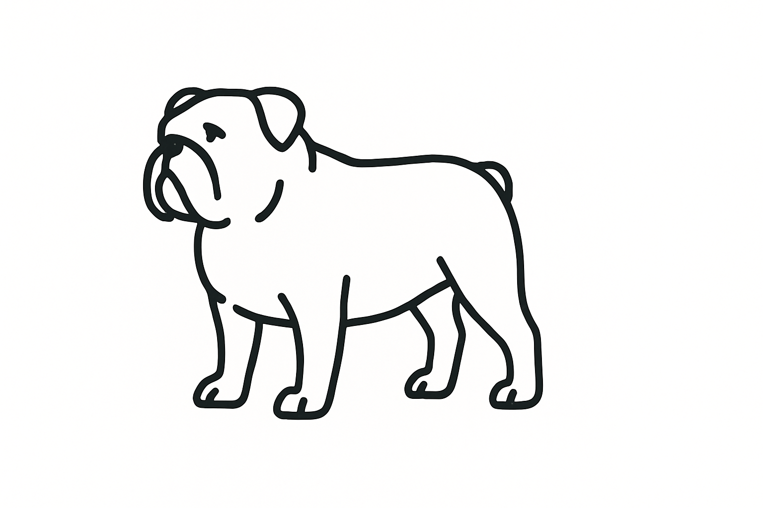 Click to download the Bull Dog Tactile Graphic