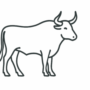 Bull Title Tactile Graphic