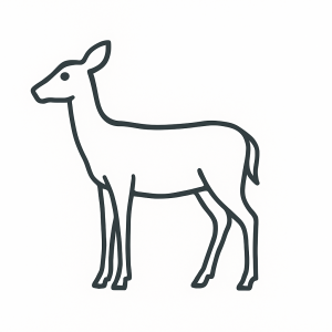 Dough Deer Side View Tactile Graphic