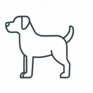 Dog Tactile Graphic