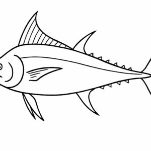 Marlin Fish Tactile Graphic
