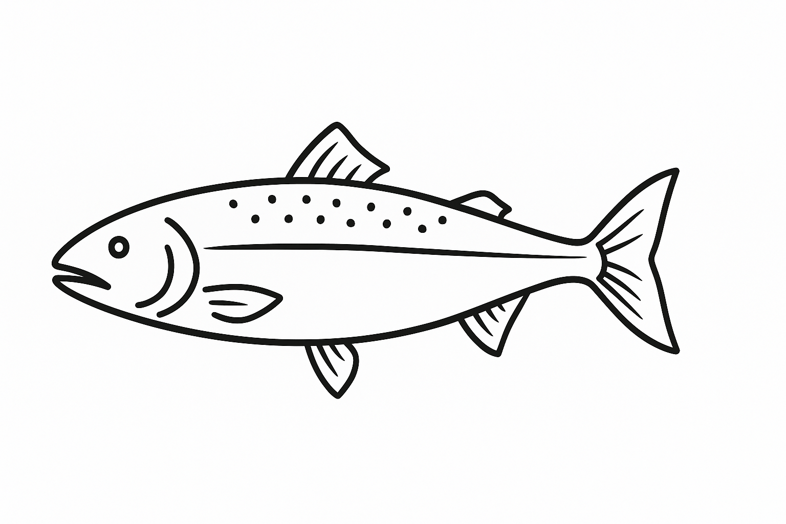 Salmon Tactile Graphic Click to download Salmon Tactile Graphic