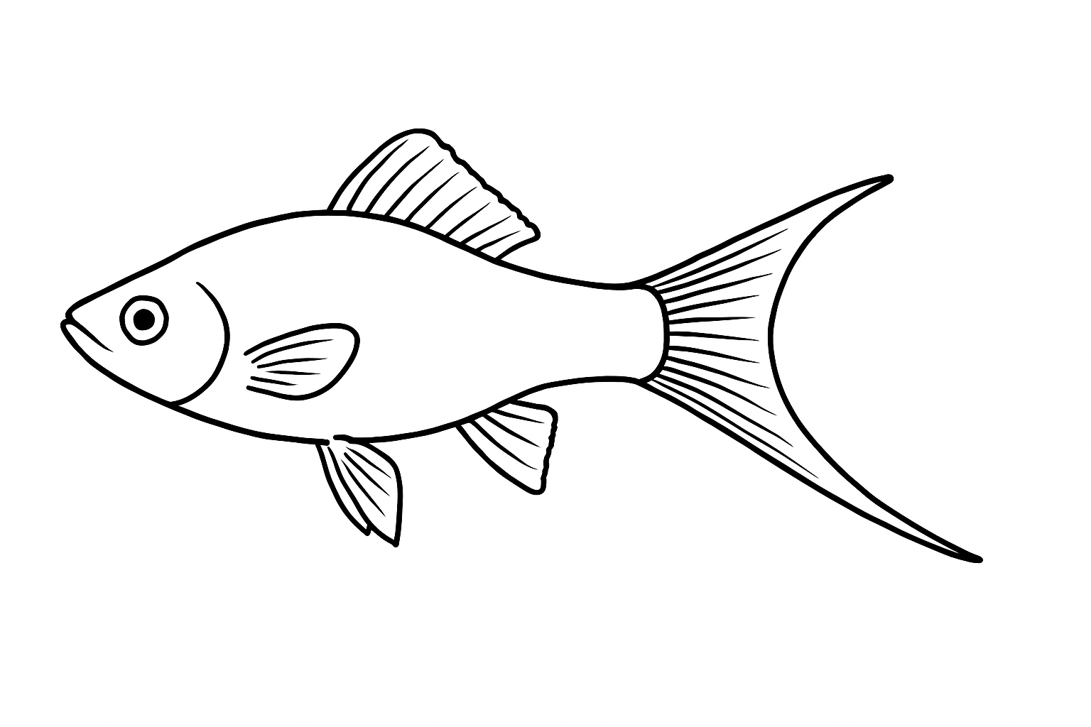 Swordtail Fish Tactile Graphic