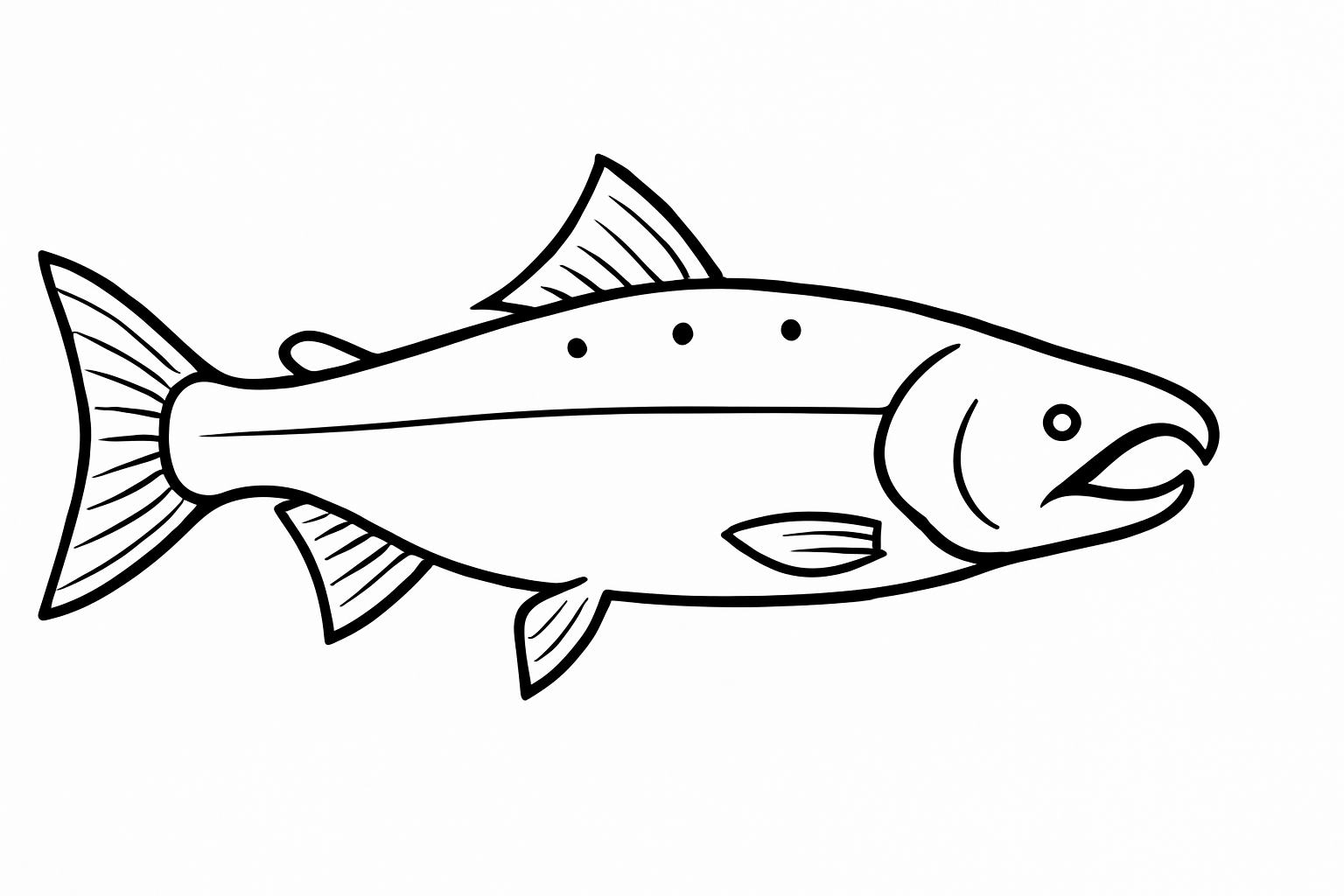 Click to download Hooknose Fish Tactile Graphic