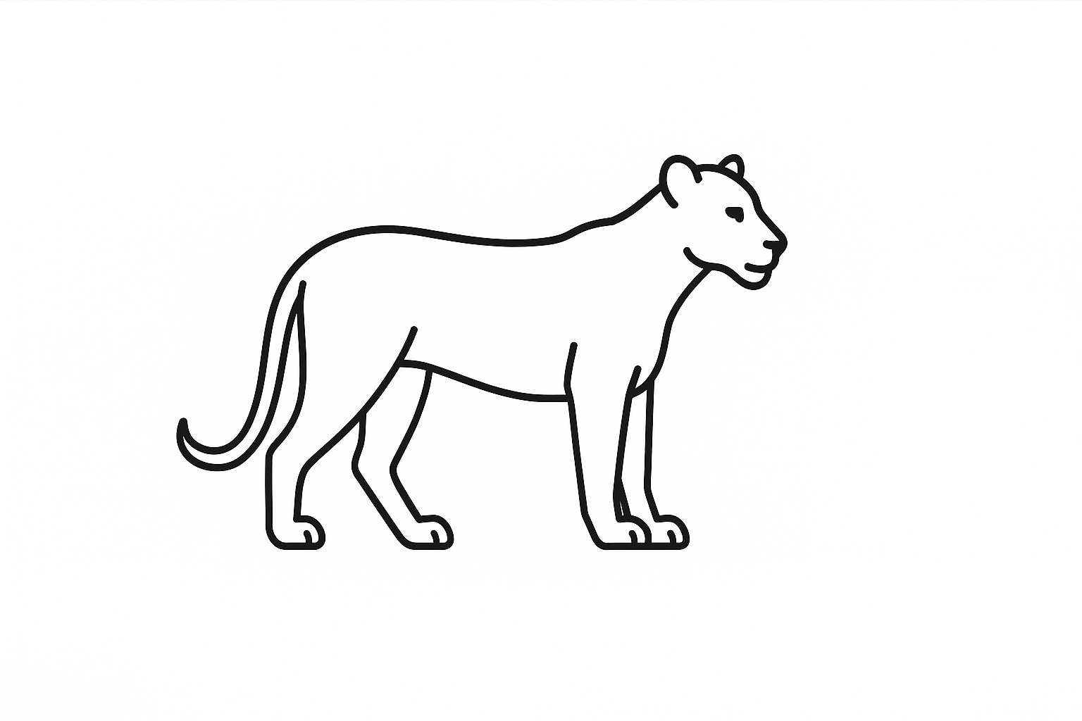 Lioness title Tactile Graphic