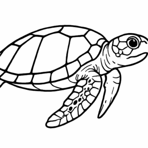 loggerhead Turtle Tactile Graphic