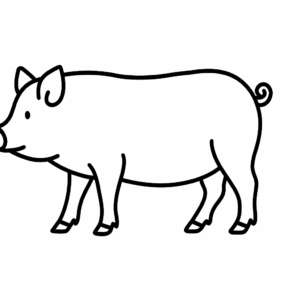 Pig Tactile Graphic