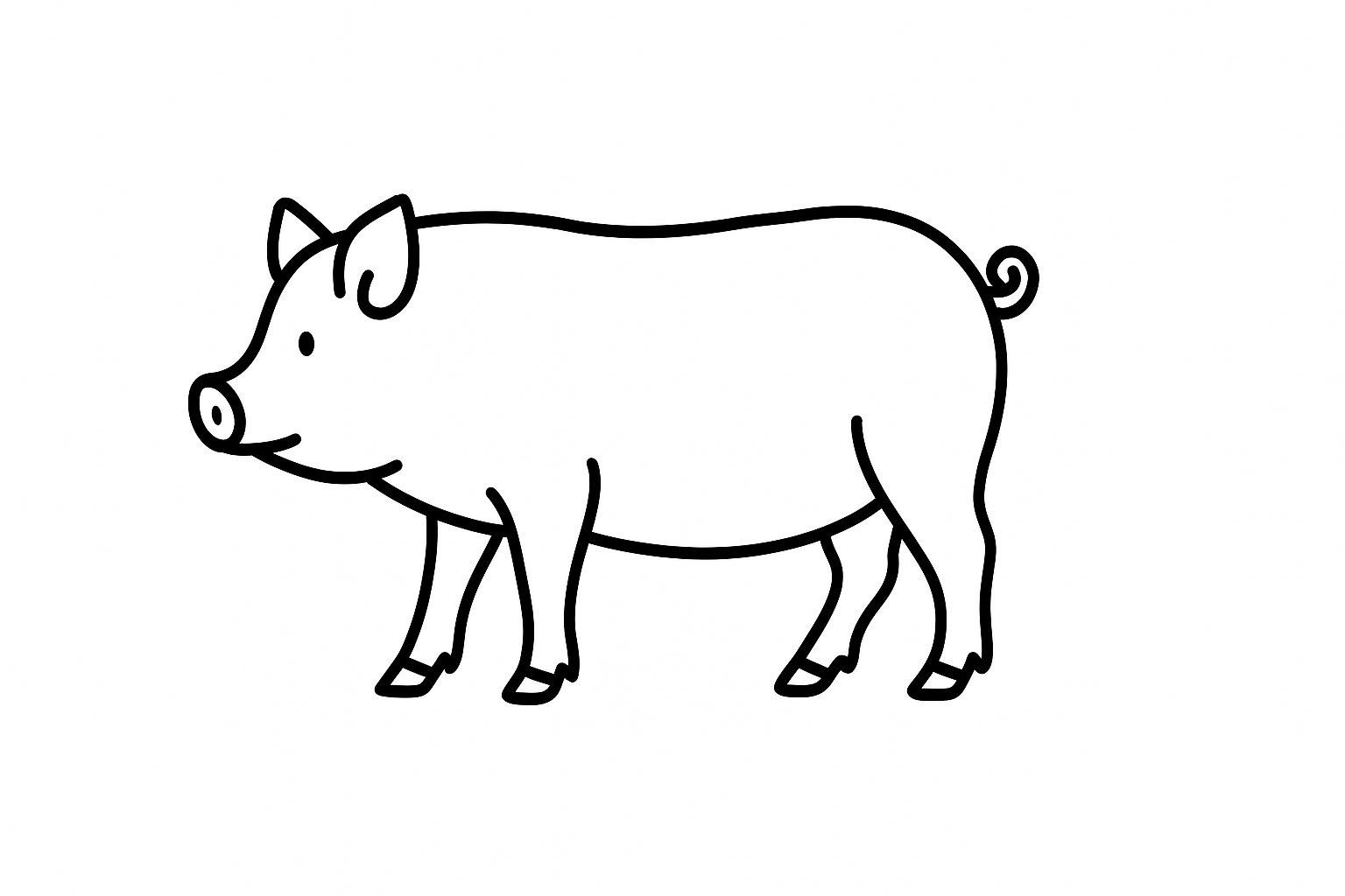 Pig Tactile Graphic