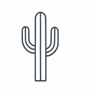 Saguaro Tactile Graphic
