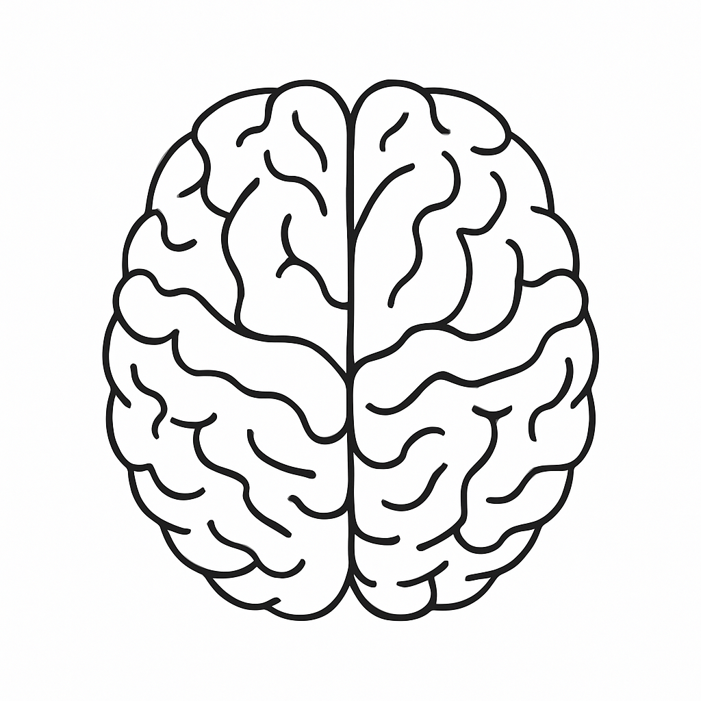 Human Brain Tactile Graphic