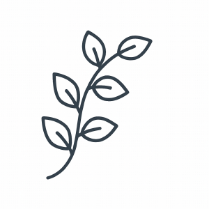 Herb Tactile Graphic