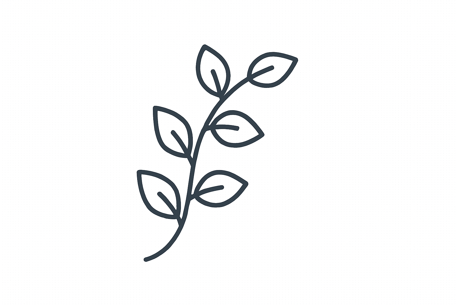 Herb Tactile Graphic