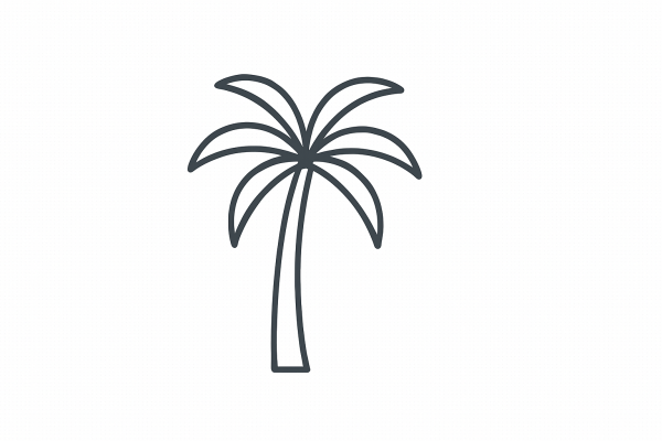 Tactile Graphic: Palm Tree