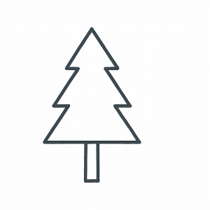 Pine Tree Tactile Graphic