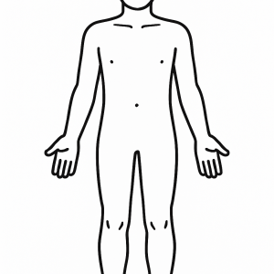 Tactile Graphic: Human Body Front