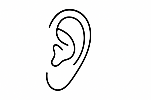 Human Ear Human Ear tactile graphic
