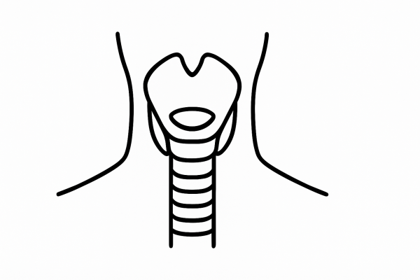 Human Throat Tactile Graphic