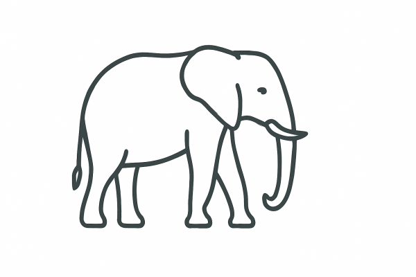 Elephant Tactile Graphic