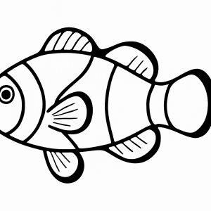 Clownfish Tactile Graphic