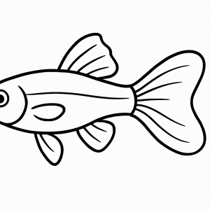 Guppy Fish Tactile Graphic
