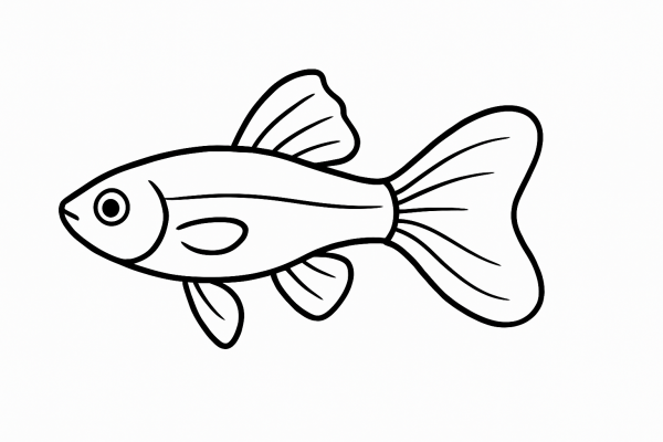 Guppy Fish Tactile Graphic