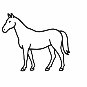 Horse Tactile Graphic