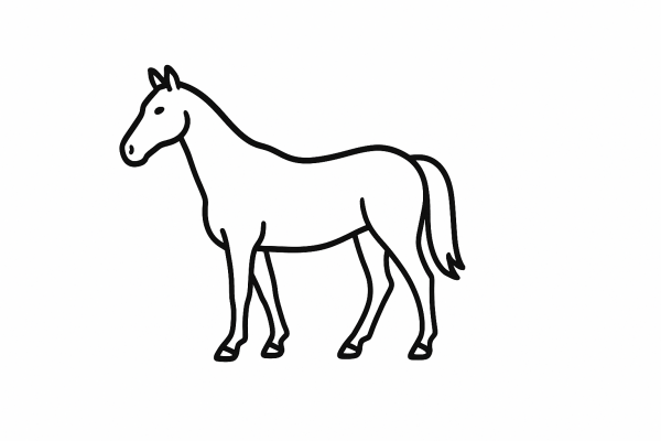 Horse Tactile Graphic