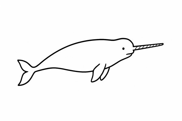Norwhal Tactile Graphic